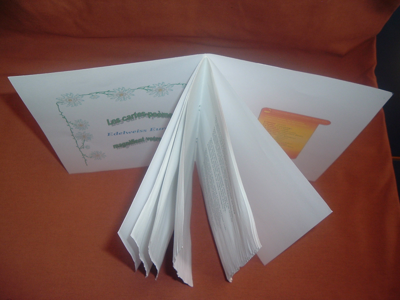 Livret de 6 poèmes, vue de dessus - Gedichtbooklet von 6 Gedichten