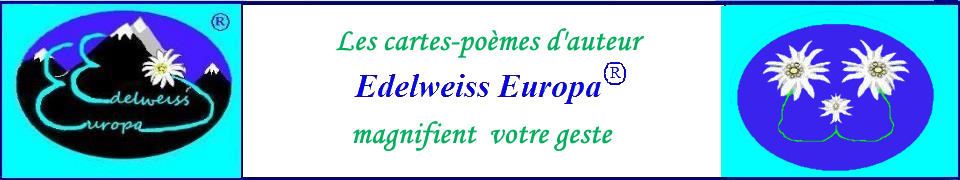 BANNIERE 2020